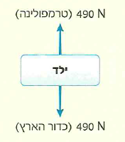 (בספר ארבעה איורים, היעזר במנחה)